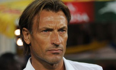 Ligue 1 - Hervé Renard limogé de son poste d'entraîneur au LOSC!