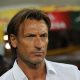 Ligue 1 - Hervé Renard limogé de son poste d'entraîneur au LOSC!