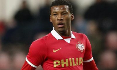 Mercato - Georginio Wijnaldum, son entraîneur s'attend à un départ