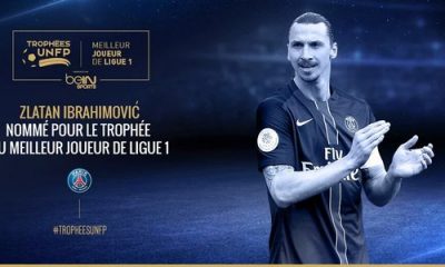 Ibrahimovic, le trophée UNFP C'est une preuve de domination durant mes années en France