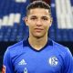 Amine Harit fait l'éloge de Mbappé et prévient le PSG face au danger Bayern Munich